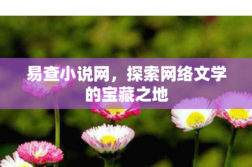 探索网络文学的宝藏之地图片