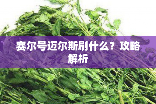 赛尔号迈尔斯刷什么图片