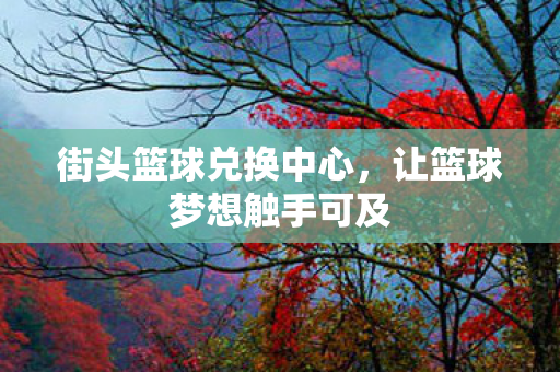 让篮球梦想触手可及图片