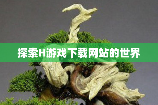 探索H游戏下载网站的世界图片
