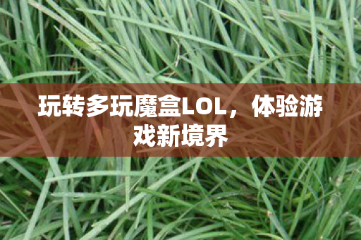 玩转多玩魔盒LOL图片