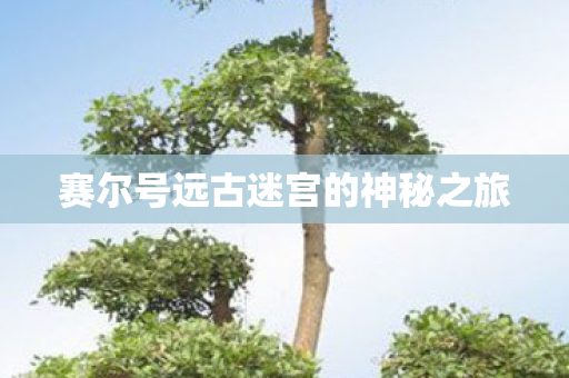 赛尔号远古迷宫的神秘之旅图片