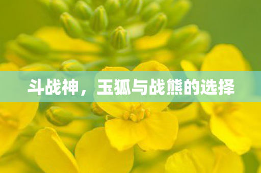 玉狐与战熊的选择图片