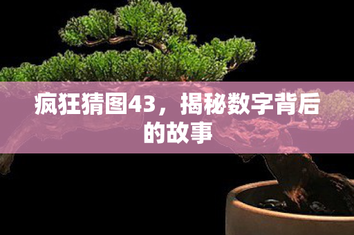 揭秘数字背后的故事图片