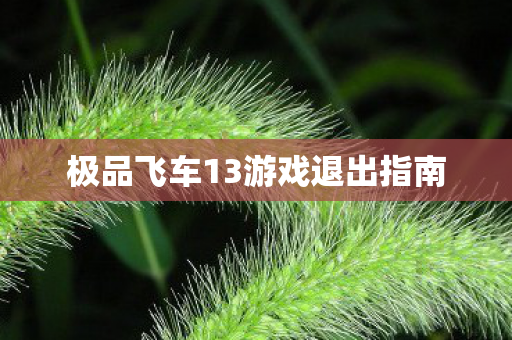 极品飞车13游戏退出指南图片