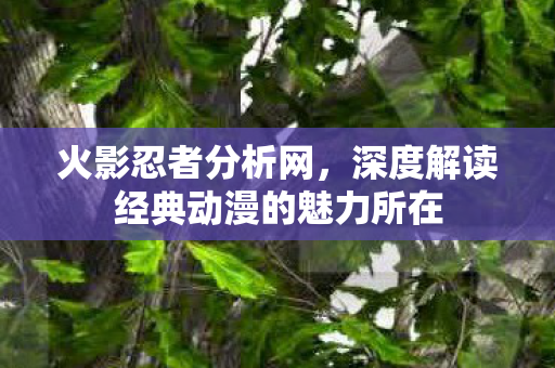 深度解读经典动漫的魅力所在图片