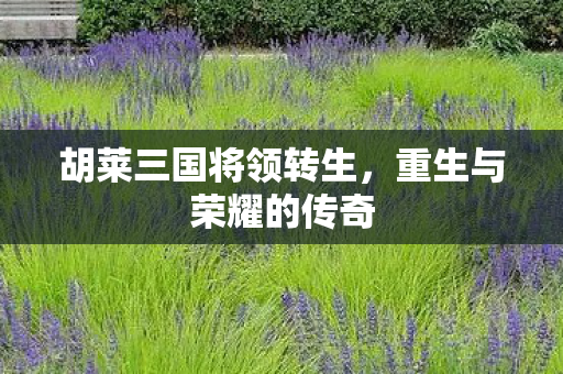 胡莱三国将领转生图片