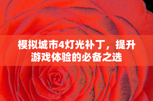 提升游戏体验的必备之选图片