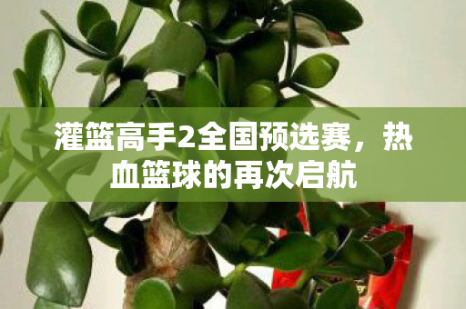 灌篮高手2全国预选赛图片