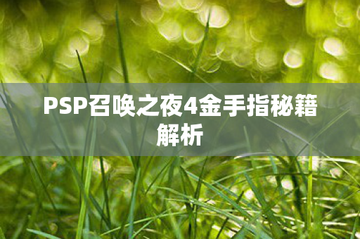 PSP召唤之夜4金手指秘籍解析图片