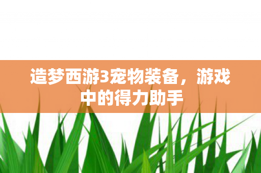 造梦西游3宠物装备图片