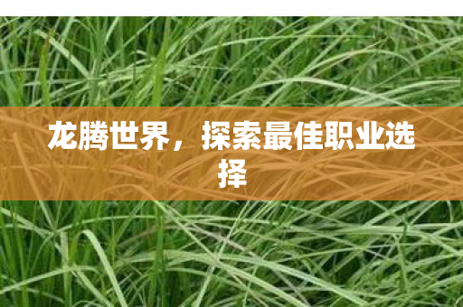探索最佳职业选择图片