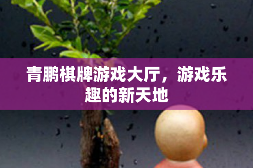 青鹏棋牌游戏大厅图片