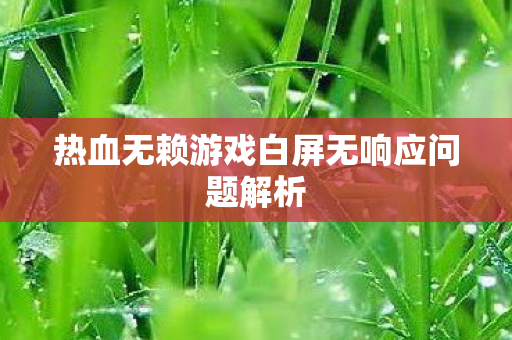 热血无赖游戏白屏无响应问题解析图片