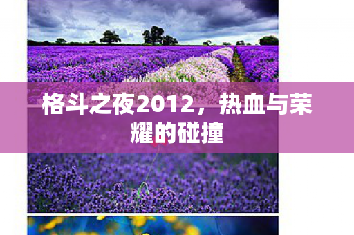 格斗之夜2012图片