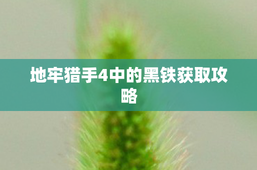地牢猎手4中的黑铁获取攻略图片