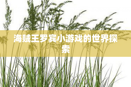 海贼王罗宾小游戏的世界探索图片