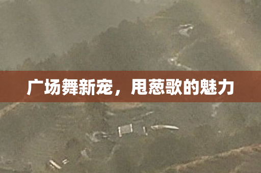 甩葱歌的魅力图片