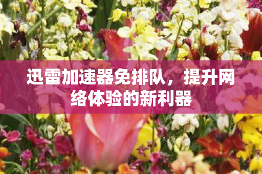 提升网络体验的新利器图片
