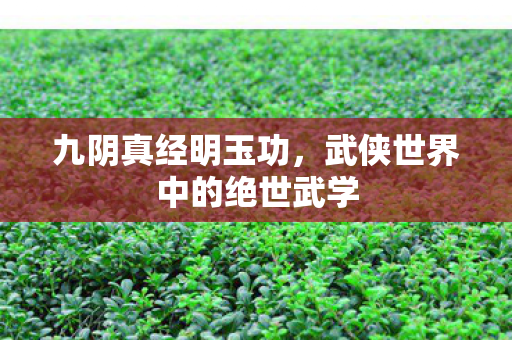武侠世界中的绝世武学图片