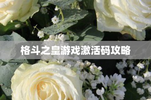 格斗之皇游戏激活码攻略图片