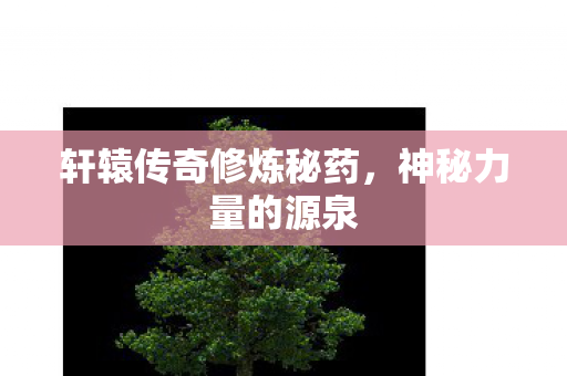 轩辕传奇修炼秘药图片