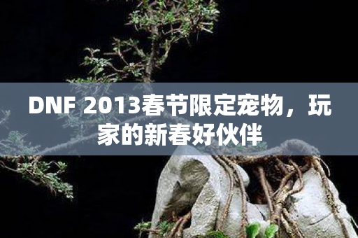 DNF 2013春节限定宠物图片