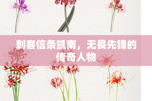 无畏先锋的传奇人物图片