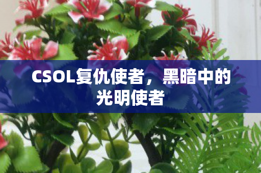 CSOL复仇使者图片