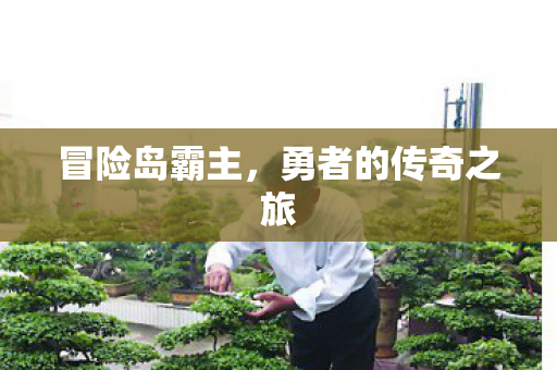 勇者的传奇之旅图片