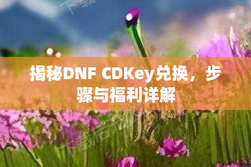 揭秘DNF CDKey兑换图片