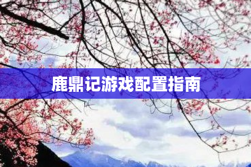 鹿鼎记游戏配置指南图片