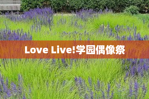 Love Live图片
