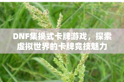 探索虚拟世界的卡牌竞技魅力图片