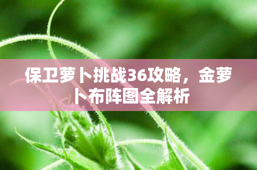 保卫萝卜挑战36攻略图片