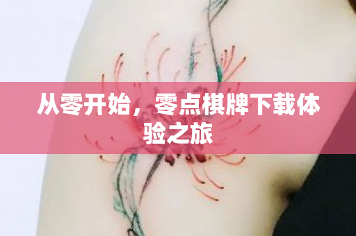 零点棋牌下载体验之旅图片
