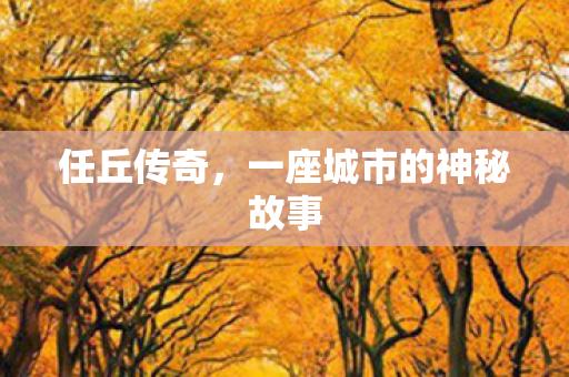 一座城市的神秘故事图片
