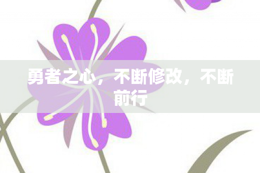 勇者之心图片
