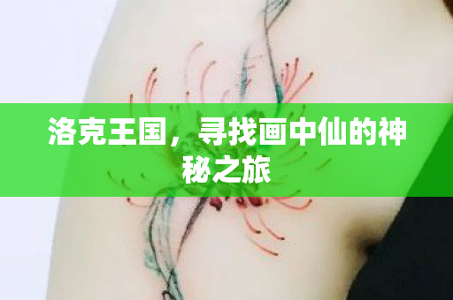 寻找画中仙的神秘之旅图片