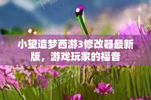 小望造梦西游3修改器最新版图片