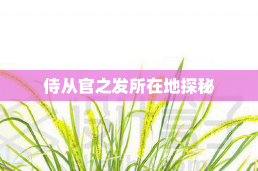 侍从官之发所在地探秘图片