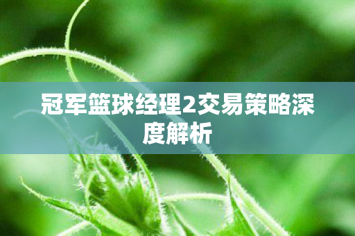 冠军篮球经理2交易策略深度解析图片