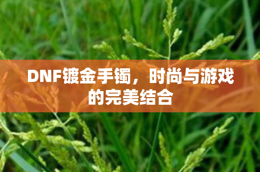 时尚与游戏的完美结合图片