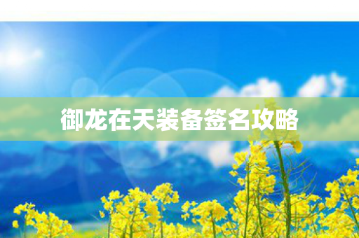 御龙在天装备签名攻略图片