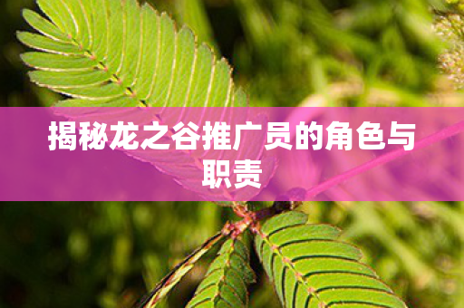 揭秘龙之谷推广员的角色与职责图片