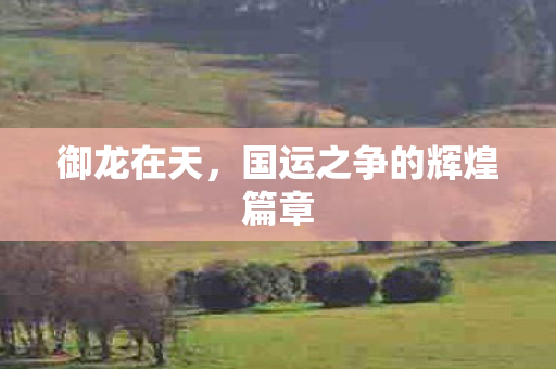 国运之争的辉煌篇章图片