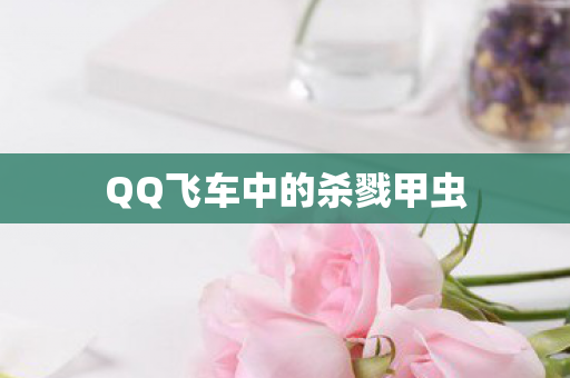 QQ飞车中的杀戮甲虫图片