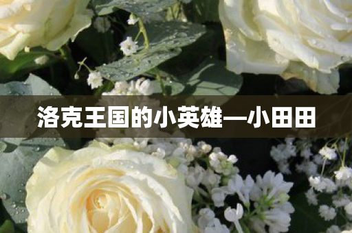 洛克王国的小英雄图片