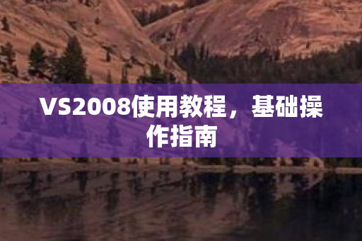 VS2008使用教程图片