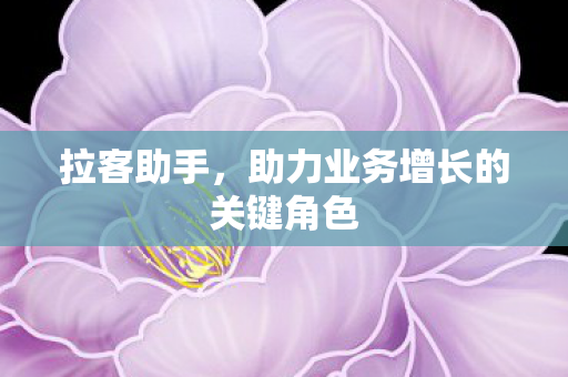 助力业务增长的关键角色图片